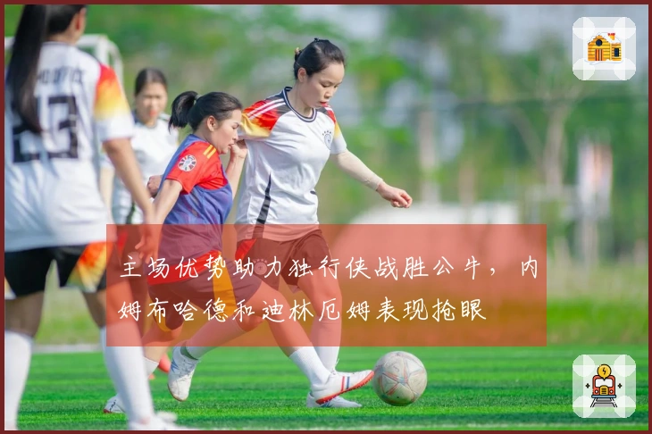 主场优势助力独行侠战胜公牛，内姆布哈德和迪林厄姆表现抢眼